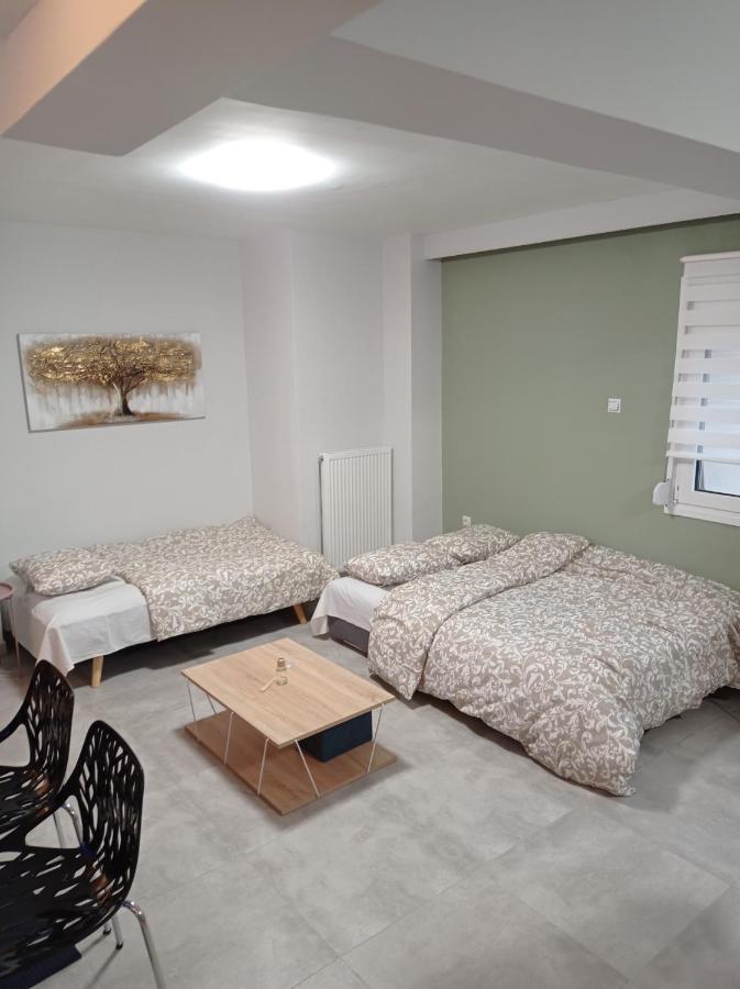 Central Home Tríkala Zewnętrze zdjęcie