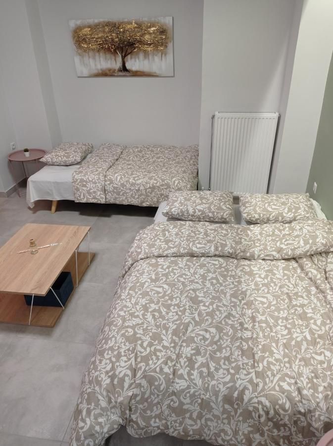 Central Home Tríkala Zewnętrze zdjęcie